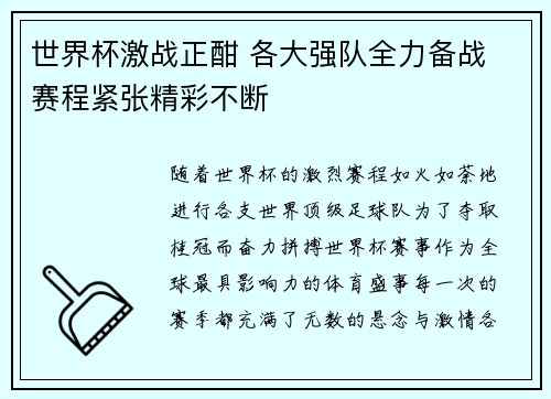 世界杯激战正酣 各大强队全力备战 赛程紧张精彩不断